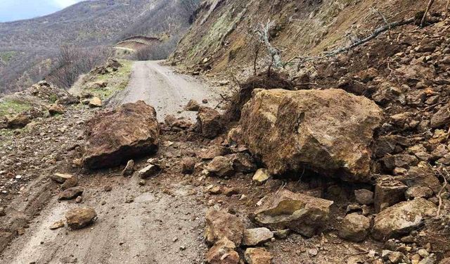 Karakoçan’da Heyelan Yolu Ulaşıma Kapattı