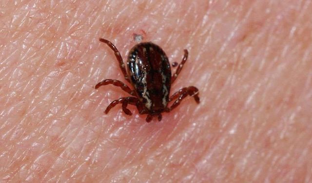 Kene Vakası Sonrası Genç Yaşamını Yitirdi