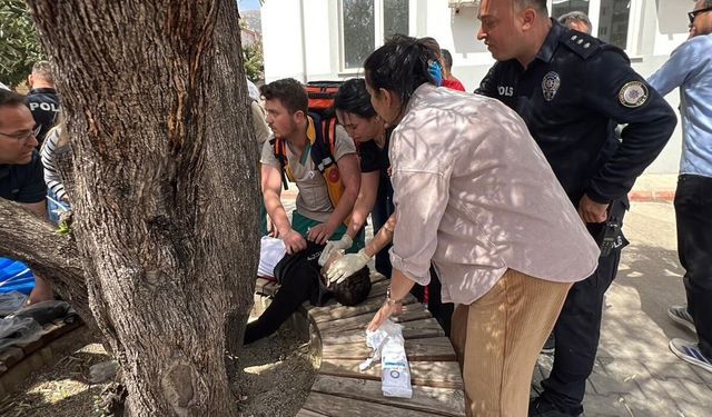 Kahramanmaraş Saldırısı Sonrası Provokasyon Operasyonu