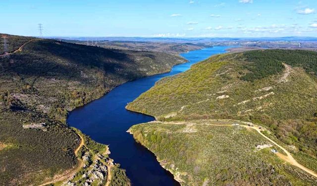 Ömerli Barajı Doluluk Oranı Yükseldi