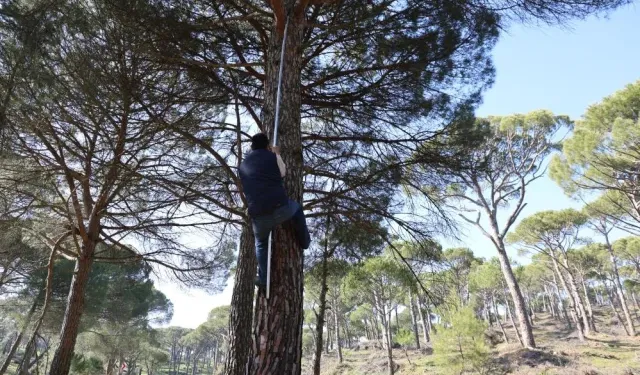 “Örümcek Adamlar” İş Başındalar