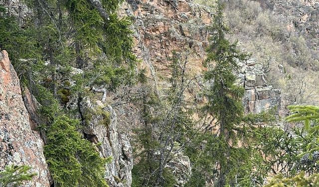 Artvin’de Yaralanan Vatandaş Helikopterle Kurtarıldı