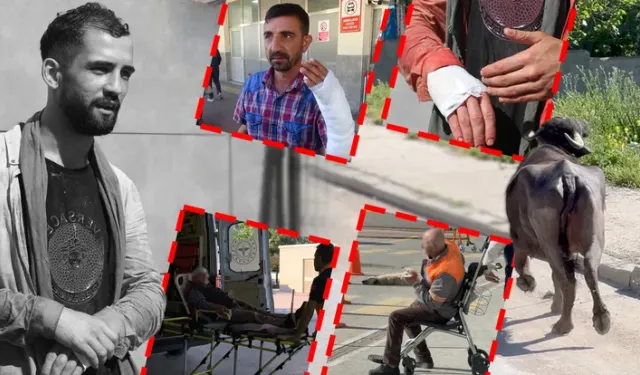 Bayramın İlk Gününde Acemi Kasaplar Hastanelik Oldu
