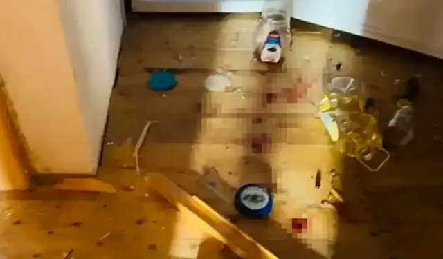 Torul Yaylasında Ayılar Evleri Talan Etti
