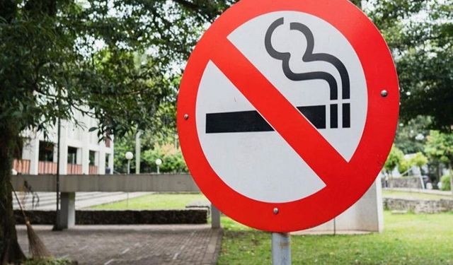 Almanya Tek Kullanımlık E-Sigarayı Yasaklıyor