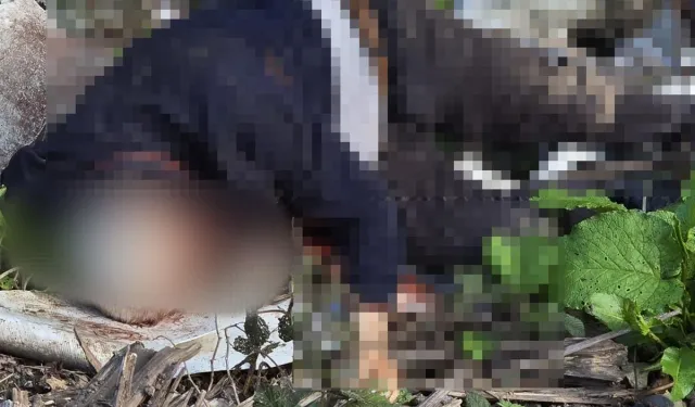 Düzce Yaylasında Şüpheli Ölüm! Dere Kenarında Bulundu