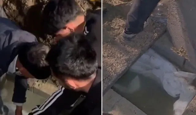 Muş’ta Mezarlıkta Tepki Çeken Olay