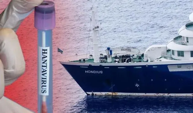 Hantavirüs Nedir? Belirtileri Ve Korunma Yolları