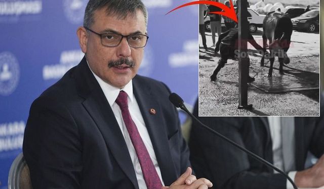 Ankara'daki Kurban Kesimi Görüntüleri Tepki Çekti