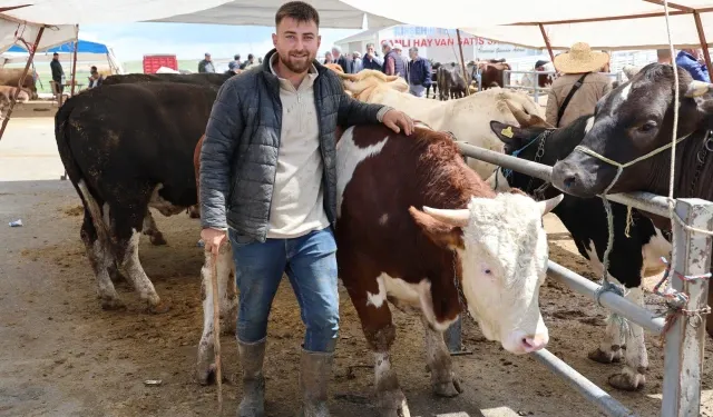Kırşehir’de 830 Kiloluk İnek 300 Bin TL’ye Satıldı