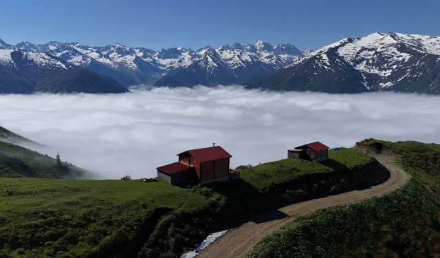 Rize Yaylalarında Sis Denizi Hayran Bıraktı