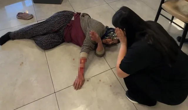 Başıboş Köpek Saldırısında Kadın Ağır Yaralandı