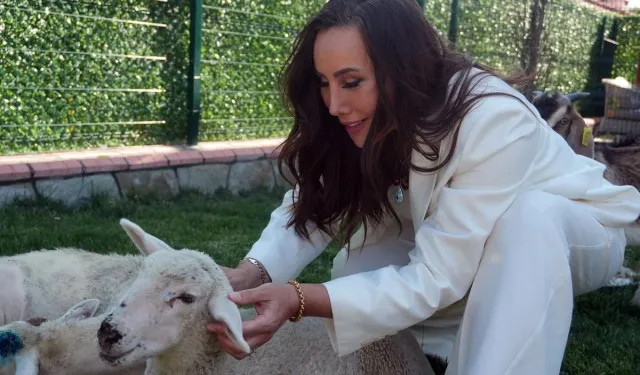 Asena'nın Yeni Aşkı Ortaya Çıktı