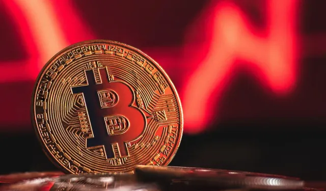 Bitcoin Küresel Varlık Sıralamasında Geriledi