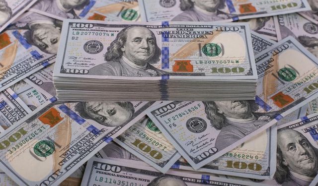 Dolar/TL 46,08 Seviyesini Görerek Rekor Tazeledi