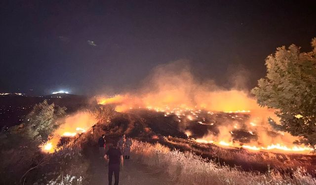 Hatay'da Anız Yangını Zeytinliklere Sıçradı