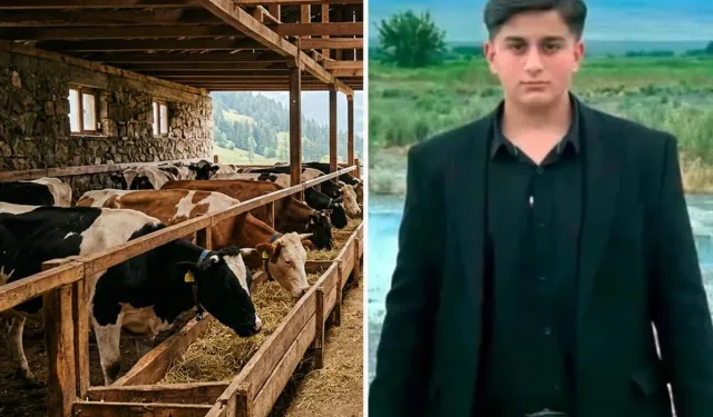 İneğin Darbesiyle 16 Yaşındaki Genç Yaşamını Yitirdi