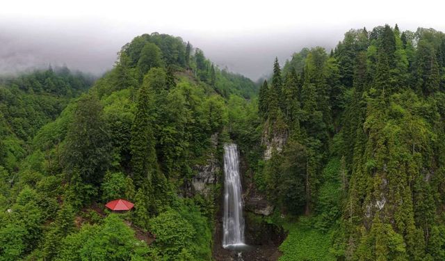 Macahel'deki Maral Şelalesi Ziyaretçi Akınına Uğruyor