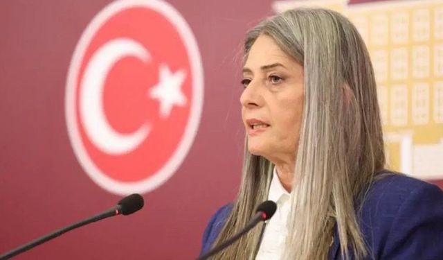 Sibel Suiçmez'den 12. Yargı Paketine Tepki
