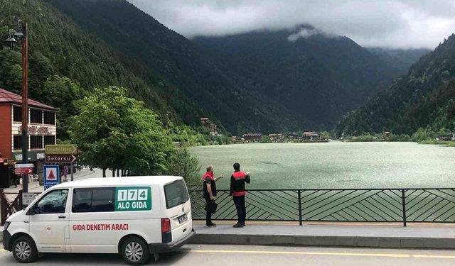 Uzungöl'de Turizm Sezonu Öncesi Denetimler Arttı