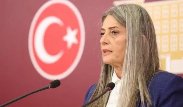 Suiçmez Yaylalardaki Elektrik Sorununu TBMM Gündemine Taşıdı