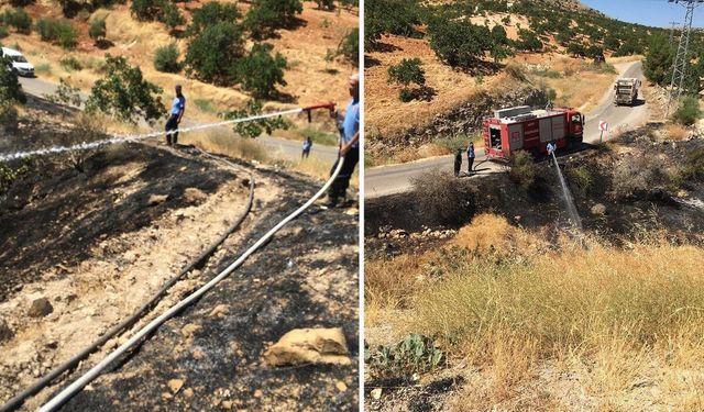 Gaziantep’te Tarla Yangını Can Aldı