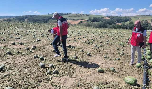 Tekirdağ'da Dolu 35 Bin Dekar Alanı Vurdu