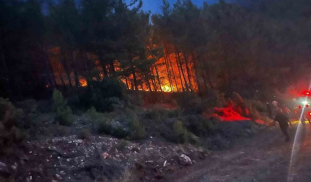 Alanya'da Orman Yangını Kontrol Altına Alındı