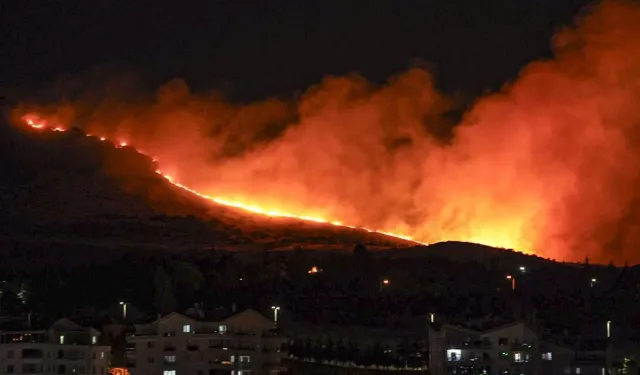 Ankara Mamak’ta Ağaçlık Alanda Yangın Çıktı
