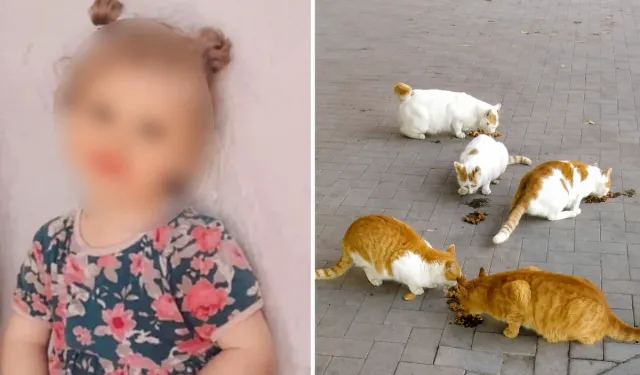 Diyarbakır'da Kuduz Teşhisi Konulan Çocuk Hayatını Kaybetti