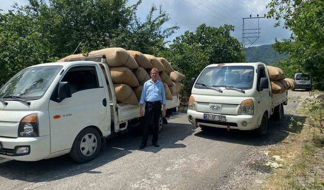 Fındık Üreticilerine Erken Hasat Uyarısı