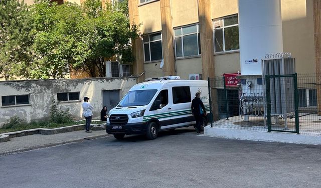 Ordu’da Kene Sonrası Rahatsızlanan Kadın Hayatını Kaybetti