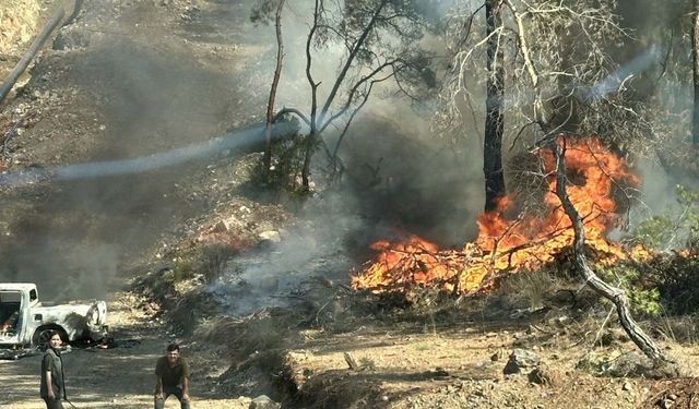 Fethiye’de Kamyonet Yangını Ormana Sıçradı