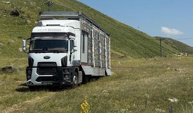 Karslı Arıcı Tır Dorsesini Bal Tesisine Çevirdi