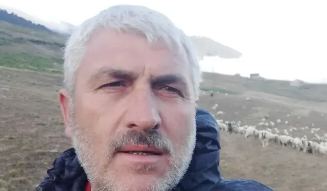 Ordu’da Yayla Yolunda Kaza: Sürücü Hayatını Kaybetti