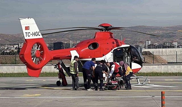 Yaylada Ayı Saldırdı: Yaralı Helikopterle Taşındı