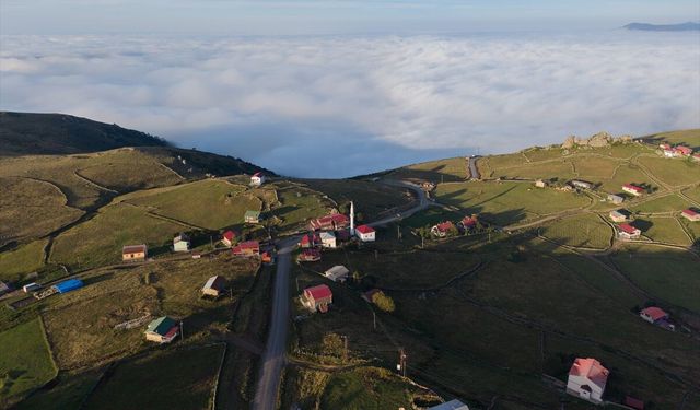 Çaykara Yaylalarında Sonbahar Renkleri