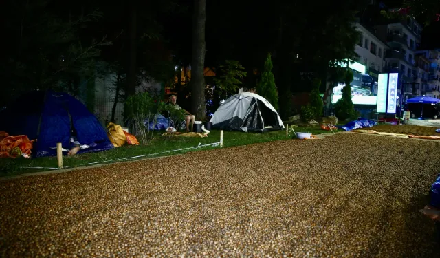Giresun’da Fındık Nöbeti Gece Boyu Sürüyor