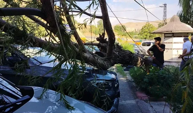 Elazığ Ve Bingöl’ü Şiddetli Fırtına Vurdu