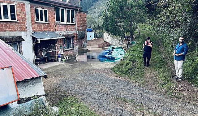 Ordu’da Arazi Anlaşmazlığı Can Aldı: 1 Yaralı