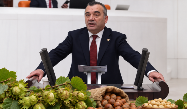 Yavuz Aydın’dan Fındık Fiyatlarına Sert Tepki