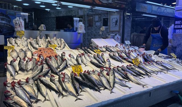 Trabzon’da Palamut Tezgahları Doldurdu