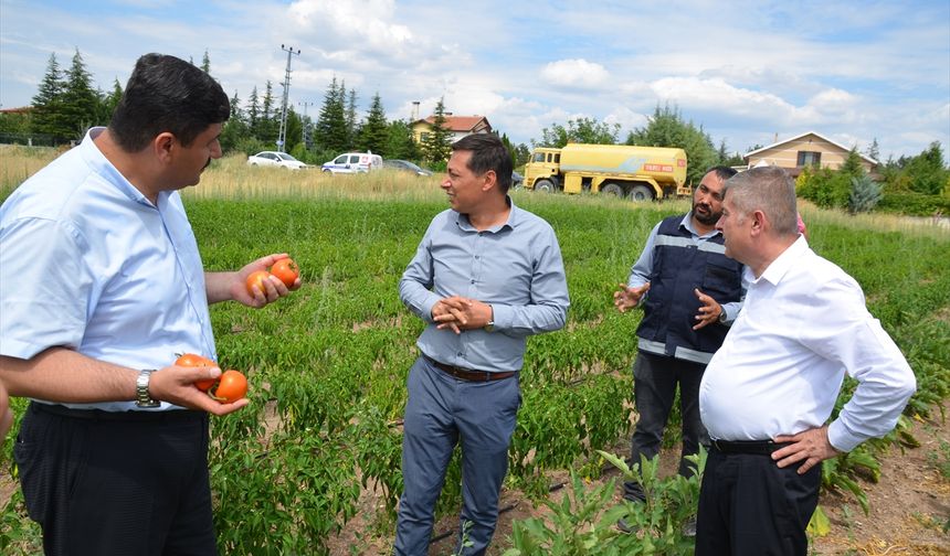 ANKARA - Kahramankazan'da belediye çalışanları, ihtiyaç sahipleri için sebze üretiyor