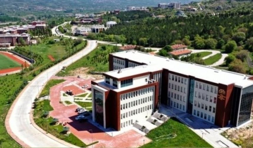 Trabzon Üniversitesi Öğretim Üyesi Alım İlanı