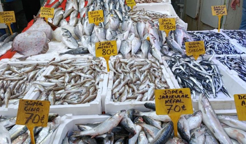 Balık fiyatları düşmeye başladı! Hamsinin kilosu...