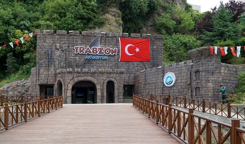 Trabzon Akvaryum'u binlerce kişi ziyaret etti