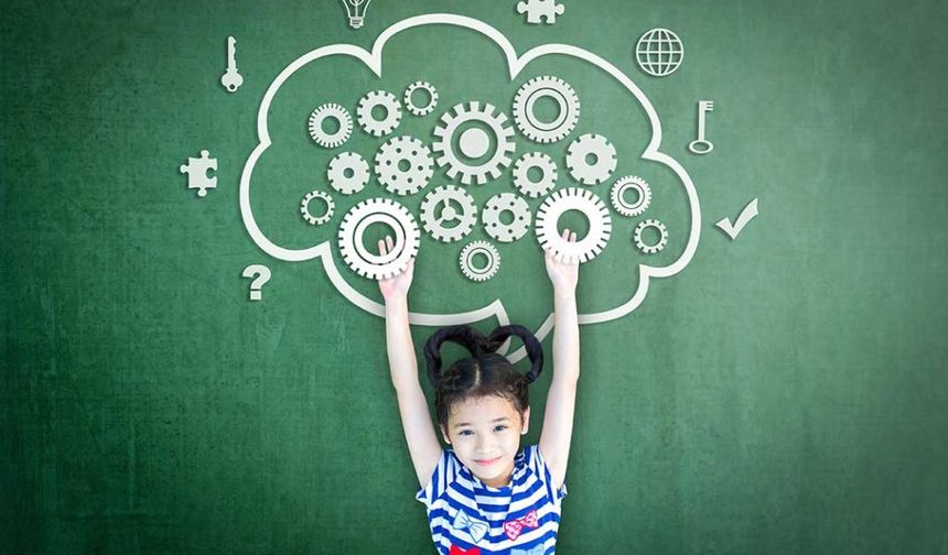 Pedagog Nedir Neden Önemlidir?