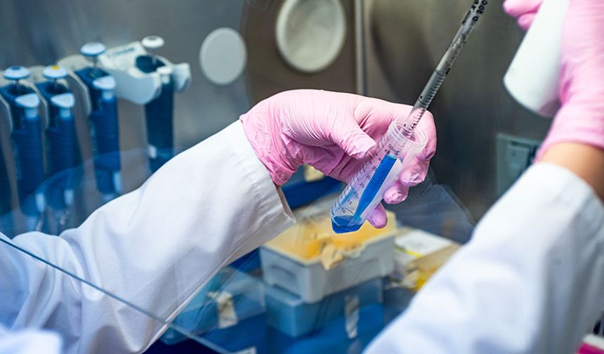 Estetik ve Teknolojinin Buluşma Noktası
