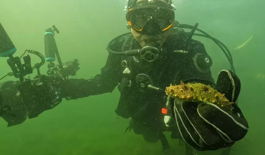 Belediye başkanı dalgıç kıyafeti giydi, dibe indi