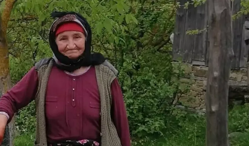 Alzheimer Hastası Kadın Havuzda Ölü Bulundu